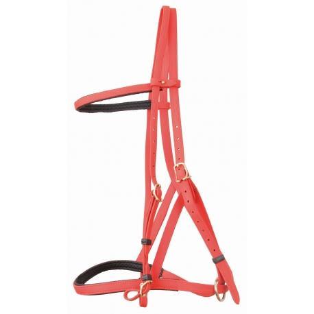 Biotack Bridon Licol - SHOP HORSE